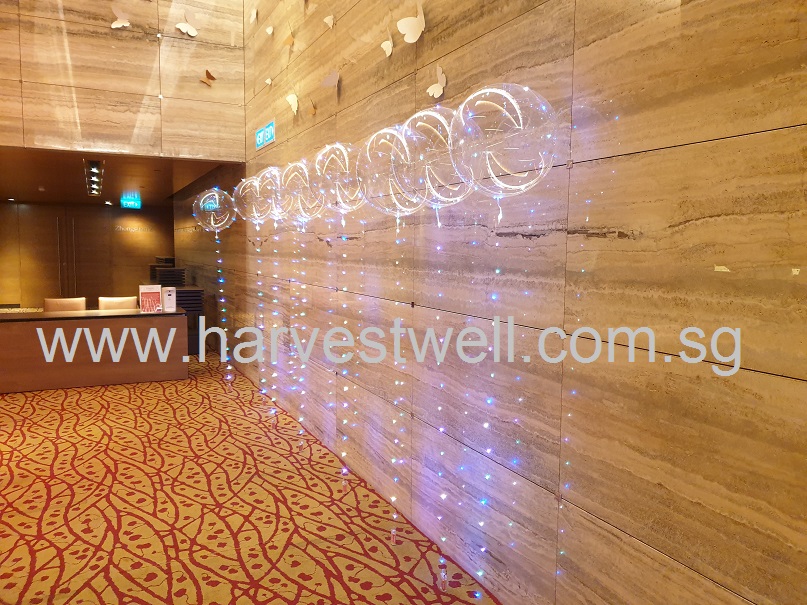 LED Bubble Balloon Singapore